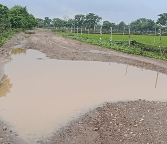 राजनांदगांव:विकास पुरुष के क्षेत्र में सड़कें बेहाल गड्ढों में समा गया विकास…