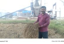 राजनांदगांव:चार महीने से उड़ रहा काला राखड़ बदबू और प्रदूषण से गांव में रहना हुआ मुश्किल…