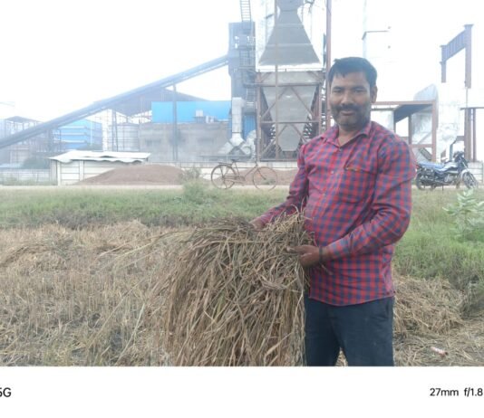 राजनांदगांव:चार महीने से उड़ रहा काला राखड़ बदबू और प्रदूषण से गांव में रहना हुआ मुश्किल…