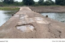 राजनांदगांव:शिवनाथ नदी के जंगलेशर मोखला एनीकट की ऊपरी परत उखड़ी राहगीरों को हो रही परेशानी मरम्मत की मांग…