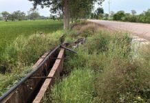 राजनांदगांव:आरला मोखला के किसानों की बढ़ी परेशानी हर साल करनी पड़ती है पानी निकासी की जद्दोजहद…