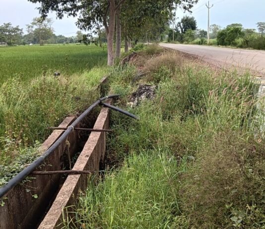 राजनांदगांव:आरला मोखला के किसानों की बढ़ी परेशानी हर साल करनी पड़ती है पानी निकासी की जद्दोजहद…