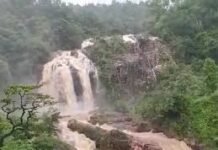 रायपुर : गौरेला-पेण्ड्रा-मरवाही जिला बना इको-टूरिज्म पर्यटन का आदर्श केंद्र…