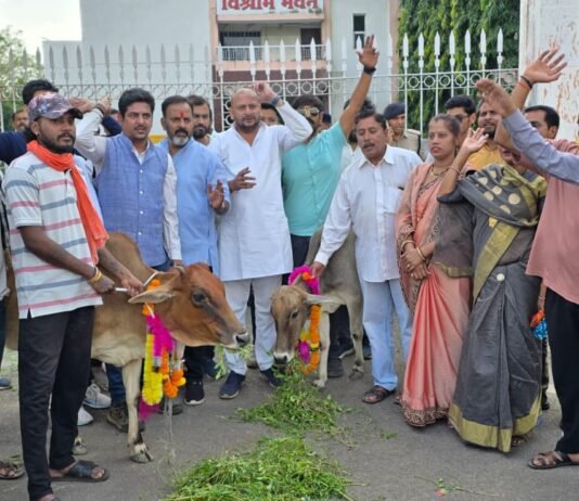 राजनांदगांव: गौ वंश की दुर्दशा पर चिंता युवा कांग्रेस का प्रदर्शन…