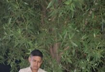 राजनांदगांव:चिखली पुलिस की बड़ी कार्रवाई अवैध शराब बिक्री और पिलाने वाले आरोपी गिरफ्तार…