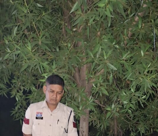 राजनांदगांव:चिखली पुलिस की बड़ी कार्रवाई अवैध शराब बिक्री और पिलाने वाले आरोपी गिरफ्तार…