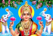 राजनांदगांव:तोरणकट्टा में महालक्ष्मी स्थापना 20 अक्टूबर को…