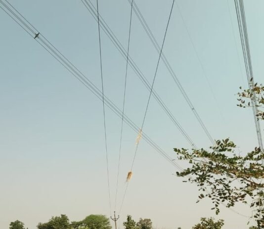 राजनांदगांव: उच्चदाब एवं निम्न दाब लाइनों के निकट ना करें धान मिसाई का कार्य – शिरीष सेलट…