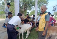 राजनांदगांव : ग्राम भोथीपारखुर्द पुराना में नि:शुल्क एक दिवसीय पशु चिकित्सा शिविर का हुआ आयोजन…