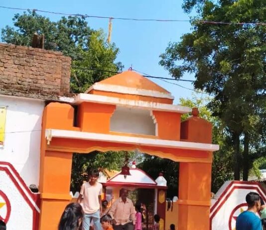 एमसीबी : कार्तिक पूर्णिमा पर विशेष लेख श्रद्धा और सौंदर्य का संगम सिरौली मेला की गाथा…