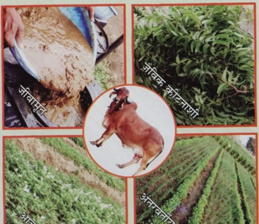 रायपुर : कृषि विश्वविद्यालय में प्राकृतिक खेती पर राष्ट्रीय संगोष्ठी कल…