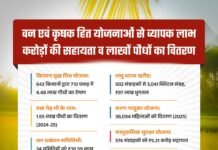 मोहला: हरियाली से खुशहाली आर्थिक रूप से सशक्त हुए जिले के ग्रामीण…