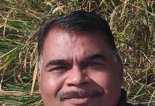 रायपुर: क्रमोन्नति प्रकरण की सुनवाई पूरी हाईकोर्ट ने फैसला सुरक्षित रखा…