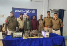 राजनांदगांव: सोमनी पुलिस की बड़ी कार्रवाई, खेतों से चोरी करने वाले आरोपी गिरफ्तार…
