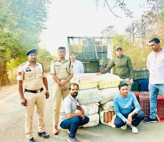 राजनांदगांव: अवैध गांजा तस्करी के विरुद्ध राजनांदगांव पुलिस की बड़ी कार्रवाई…