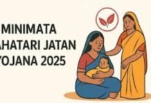प्रसूता महिला को अब मिलेगा 20 हजार रु.,मिनीमाता महतारी जतन योजना का मिलेगा लाभ…