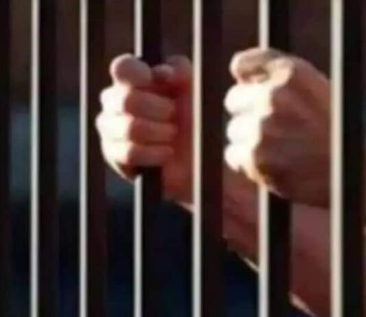 राजनांदगांव: पत्नी की टंगिया से हत्या के मामले में आरोपी पति को आजीवन कारावास…