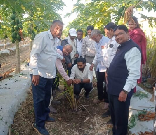 राजनांदगांव: कृषकों को आयल पॉम की खेती के विषय पर दिया गया प्रशिक्षण….