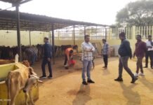 राजनांदगांव: महापौर आज सुबह वार्ड निरीक्षण के लिए पहुॅचे ग्रामीण वार्ड रेवाडीह…