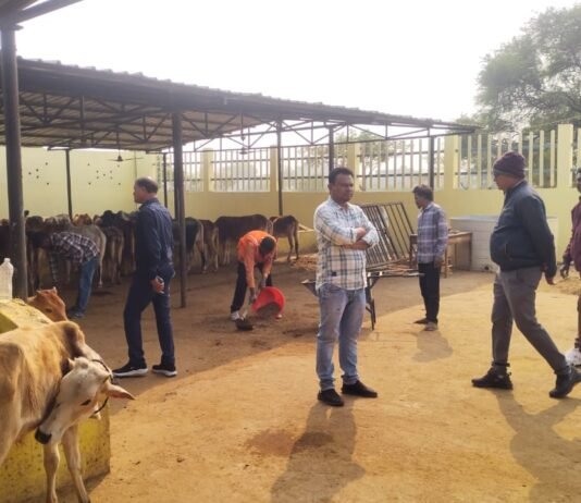 राजनांदगांव: महापौर आज सुबह वार्ड निरीक्षण के लिए पहुॅचे ग्रामीण वार्ड रेवाडीह…