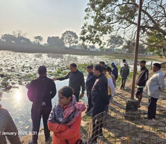 राजनांदगांव: लखोली क्षेत्र के वार्डो का महापौर ने किया निरीक्षण…