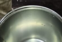 राजनांदगांव : स्टेशन पारा वार्ड क्रमांक 11 में नल से गंदा पानी, पानी में कीड़ा निकलने से मचा हड़कंप…