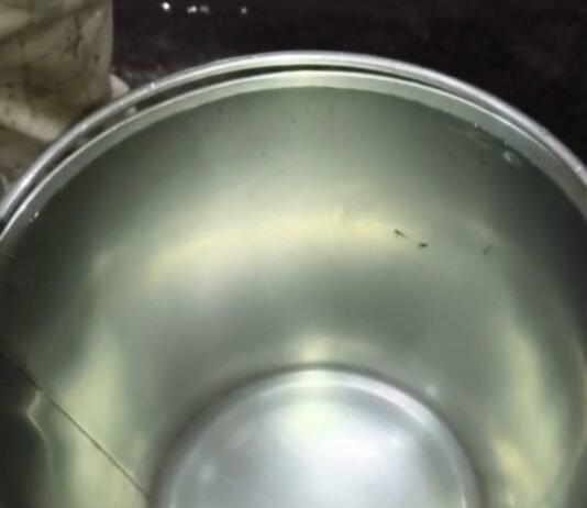 राजनांदगांव : स्टेशन पारा वार्ड क्रमांक 11 में नल से गंदा पानी, पानी में कीड़ा निकलने से मचा हड़कंप…