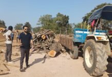 राजनांदगांव: ग्राम खुबाटोला में इमारती लकड़ी का अवैध रूप से परिवहन करने पर की गई जप्ती कार्रवाई…