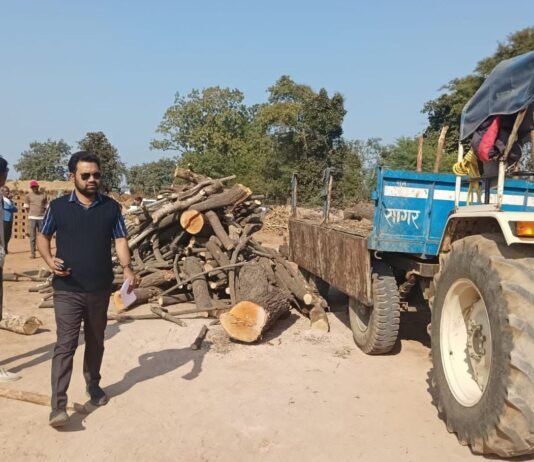 राजनांदगांव: ग्राम खुबाटोला में इमारती लकड़ी का अवैध रूप से परिवहन करने पर की गई जप्ती कार्रवाई…