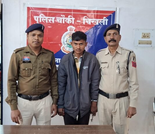 राजनांदगांव: नाबालिक बालिका को शादी का प्रलोभन देकर दुष्कर्म करने वाले आरोपी को भेजा गया जेल…