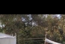 राजनांदगांव: सड़क सुरक्षा माह में चित्रकला एवं स्लोगन प्रतियोगिता में 435 स्कूली छात्र-छात्राओं ने भाग लिया…