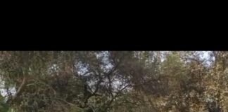 राजनांदगांव: सड़क सुरक्षा माह में चित्रकला एवं स्लोगन प्रतियोगिता में 435 स्कूली छात्र-छात्राओं ने भाग लिया…