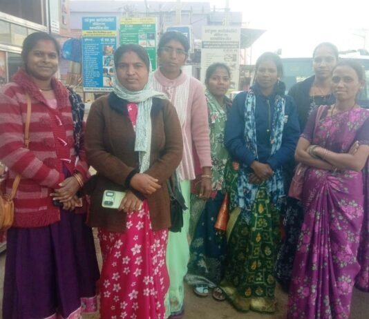 राजनांदगांव: भर्रीटोला, मानपुर में इंटीग्रेटेड फार्मिंग क्लस्टर क्षेत्र का भ्रमण…