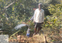 मोहला: सौर सुजला योजना ने बदली किसानों की तकदीर, अकार्यशील पंपों के सुधार से फिर लौटी हरियाली…