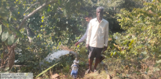 मोहला: सौर सुजला योजना ने बदली किसानों की तकदीर, अकार्यशील पंपों के सुधार से फिर लौटी हरियाली…