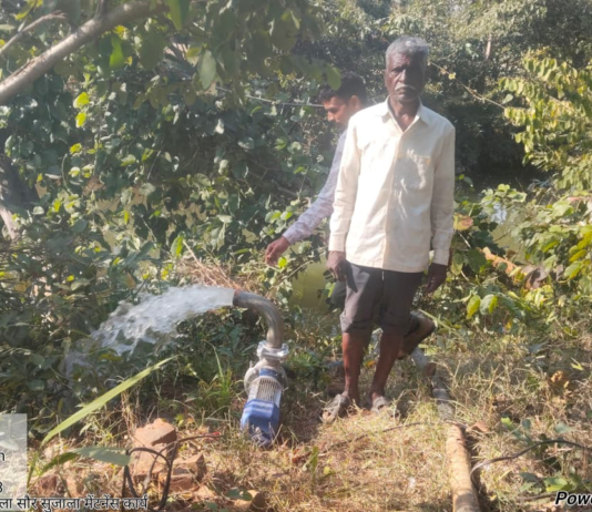 मोहला: सौर सुजला योजना ने बदली किसानों की तकदीर, अकार्यशील पंपों के सुधार से फिर लौटी हरियाली…