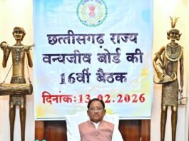 रायपुर : वन्यजीवों के प्राकृतिक आवास की सुरक्षा और सह-अस्तित्व के सिद्धांतों के अनुरूप हो सभी गतिविधियों का संचालन मुख्यमंत्री साय…