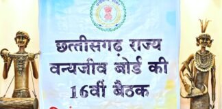 рд░рд╛рдпрдкреБрд░ : рд╡рдиреНрдпрдЬреАрд╡реЛрдВ рдХреЗ рдкреНрд░рд╛рдХреГрддрд┐рдХ рдЖрд╡рд╛рд╕ рдХреА рд╕реБрд░рдХреНрд╖рд╛ рдФрд░ рд╕рд╣-рдЕрд╕реНрддрд┐рддреНрд╡ рдХреЗ рд╕рд┐рджреНрдзрд╛рдВрддреЛрдВ рдХреЗ рдЕрдиреБрд░реВрдк рд╣реЛ рд╕рднреА рдЧрддрд┐рд╡рд┐рдзрд┐рдпреЛрдВ рдХрд╛ рд╕рдВрдЪрд╛рд▓рди рдореБрдЦреНрдпрдордВрддреНрд░реА рд╕рд╛рдп…