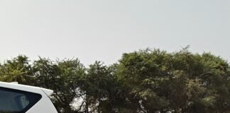 राजनांदगांव: बायपास रोड पर दुर्घटना रोकथाम के लिए यातायात पुलिस का विशेष इंतजाम, सुरक्षा स्टॉपर व चेतावनी बोर्ड लगाए…