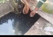 राजनांदगांव: नाला बना तालाब, मछलियां बनीं विरोध का हथियार —शास्त्री संग युवा नेताओं का अनोखा प्रदर्शन…