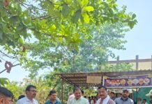 राजनांदगांव: महापौर ने यातायात नगर जीर्णोद्धार कार्य तथा मेडिकल कालेज रोड निर्माण कार्य का किया निरीक्षण…