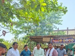 राजनांदगांव: महापौर ने यातायात नगर जीर्णोद्धार कार्य तथा मेडिकल कालेज रोड निर्माण कार्य का किया निरीक्षण…