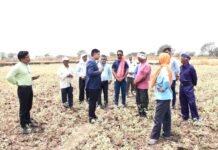 राजनांदगांव: कलेक्टर ने कन्हारपुरी के खेतों में पहुंचकर मौके पर सीमांकन कार्य का लिया जायजा…