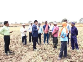 राजनांदगांव: कलेक्टर ने कन्हारपुरी के खेतों में पहुंचकर मौके पर सीमांकन कार्य का लिया जायजा…