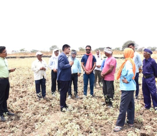 राजनांदगांव: कलेक्टर ने कन्हारपुरी के खेतों में पहुंचकर मौके पर सीमांकन कार्य का लिया जायजा…
