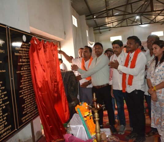 मोहला: जिले में प्रधानमंत्री ग्राम सड़क योजना फेस-4 के तहत सड़कों का वर्चुअल भूमिपूजन…