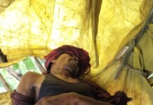 महासमुंद: खेत की रखवाली कर रहे पिता-पुत्र पर गिरी आकाशीय बिजली, पुत्र की मौत, पिता घायल…