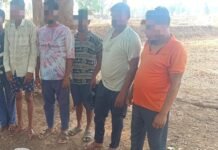 खैरागढ़ :जिला केसीजी पुलिस टीम की जुआरियों के विरुद्ध प्रभावी कार्यवाही…