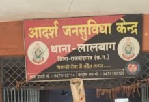 राजनांदगांव: घर की बाड़ी में गांजा उगाने वाला आरोपी गिरफ्तार, 6 पौधे बरामद…