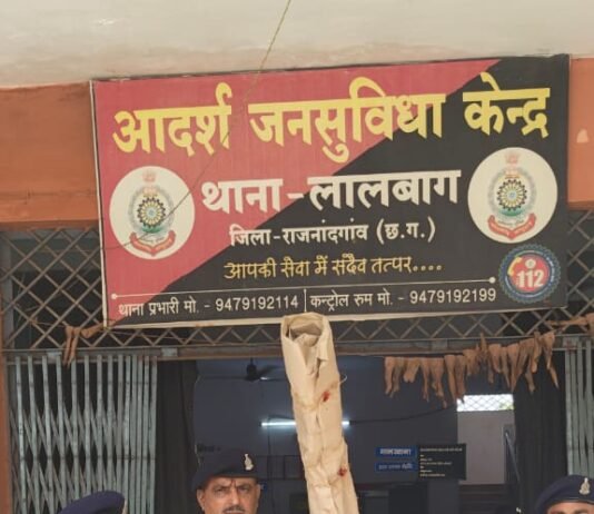 राजनांदगांव: घर की बाड़ी में गांजा उगाने वाला आरोपी गिरफ्तार, 6 पौधे बरामद…